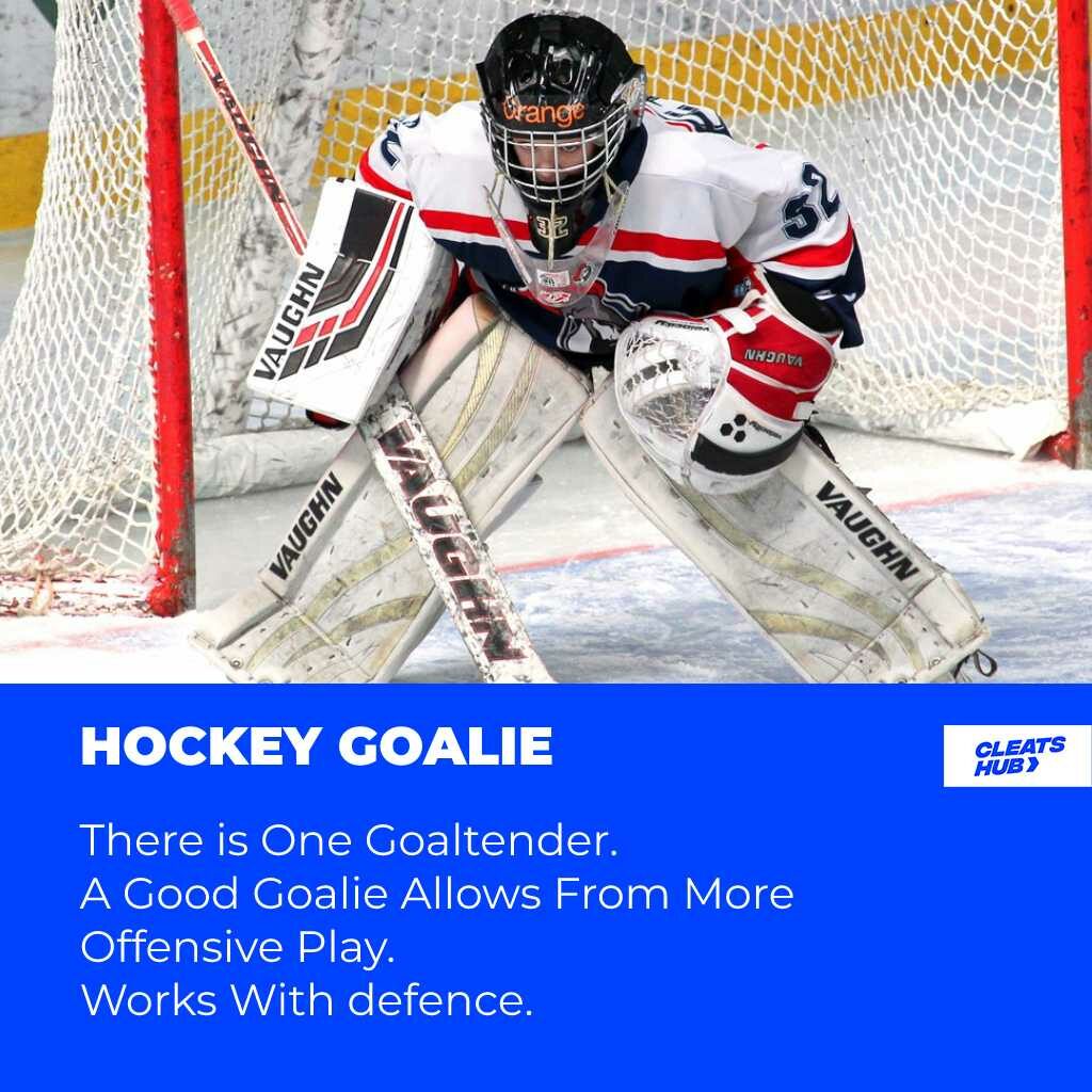 The goalie is responsible for Defending the net and obstructing goals